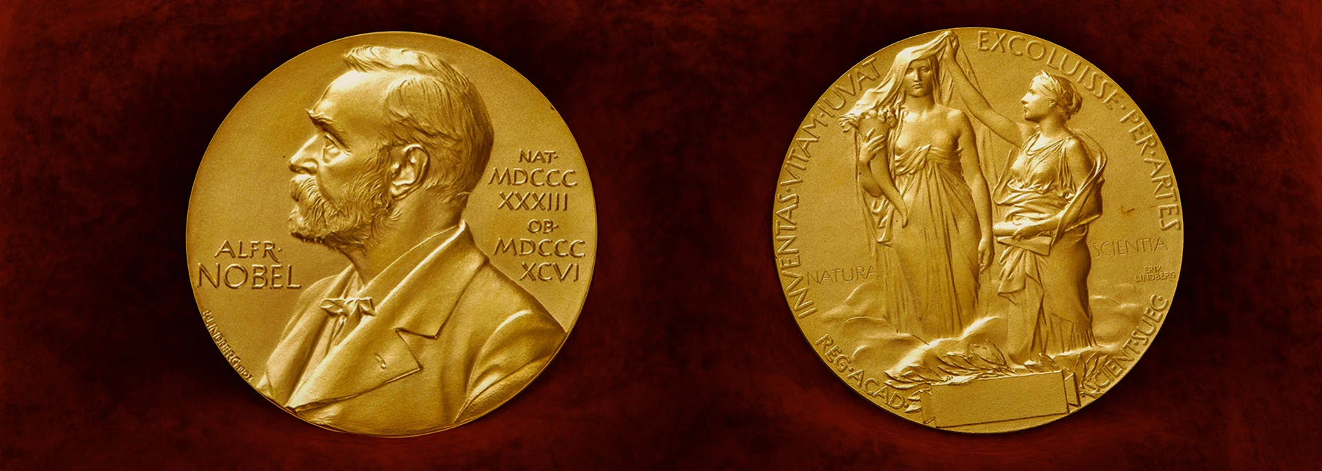 nobel prize - golden medal