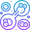 cell - zf0