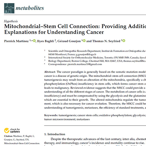 Mitochondrial–Stem Cell Connection Providing Additional Explanations for Understanding Cancer