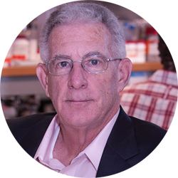dr thomas seyfried