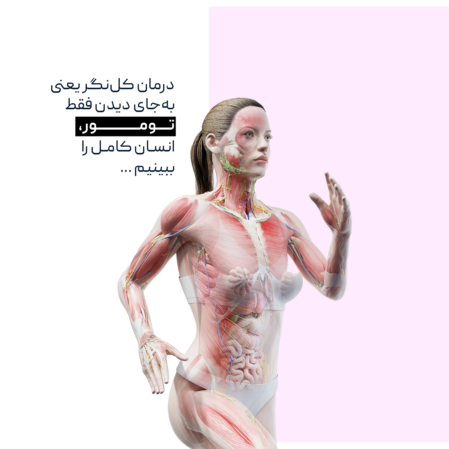 holistic approach - tumor vs whole body - zanfaraz.com - درمان کل نگر سرطان سینه