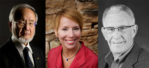 researchers - md - zanfaraz - درباره