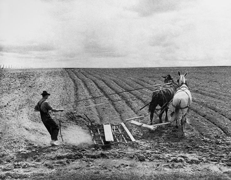 farming-agriculture-america1930s-zanfaraz